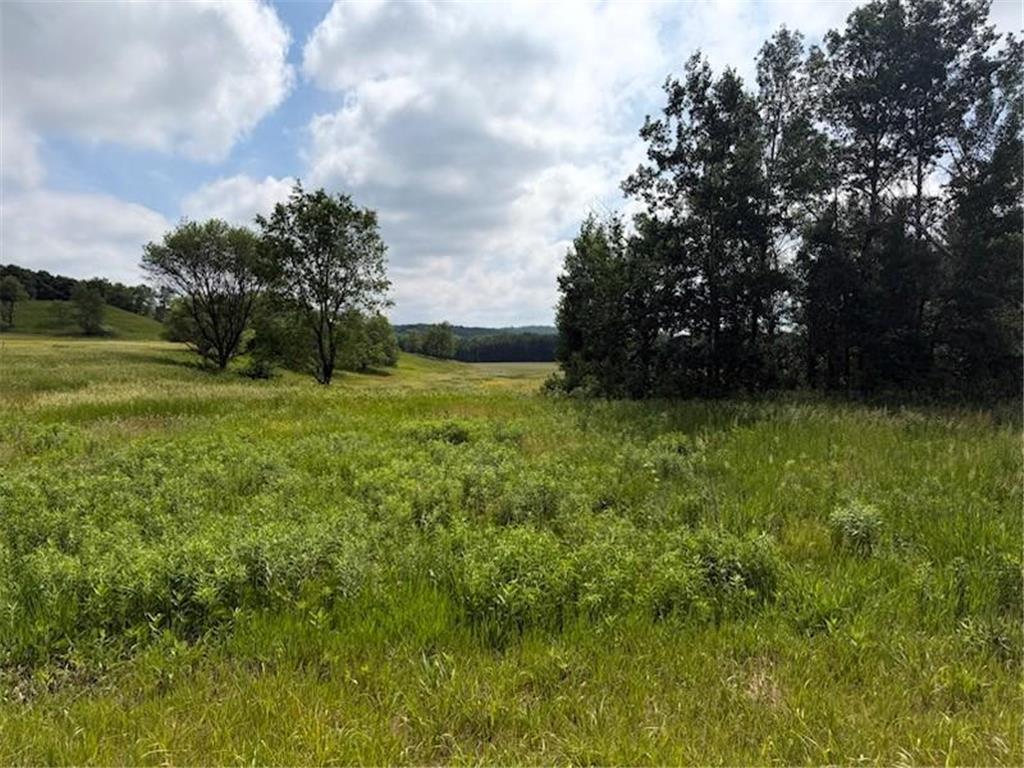 Lot 2 County Rd F Hay River Twp WI 54725 7085559 image5