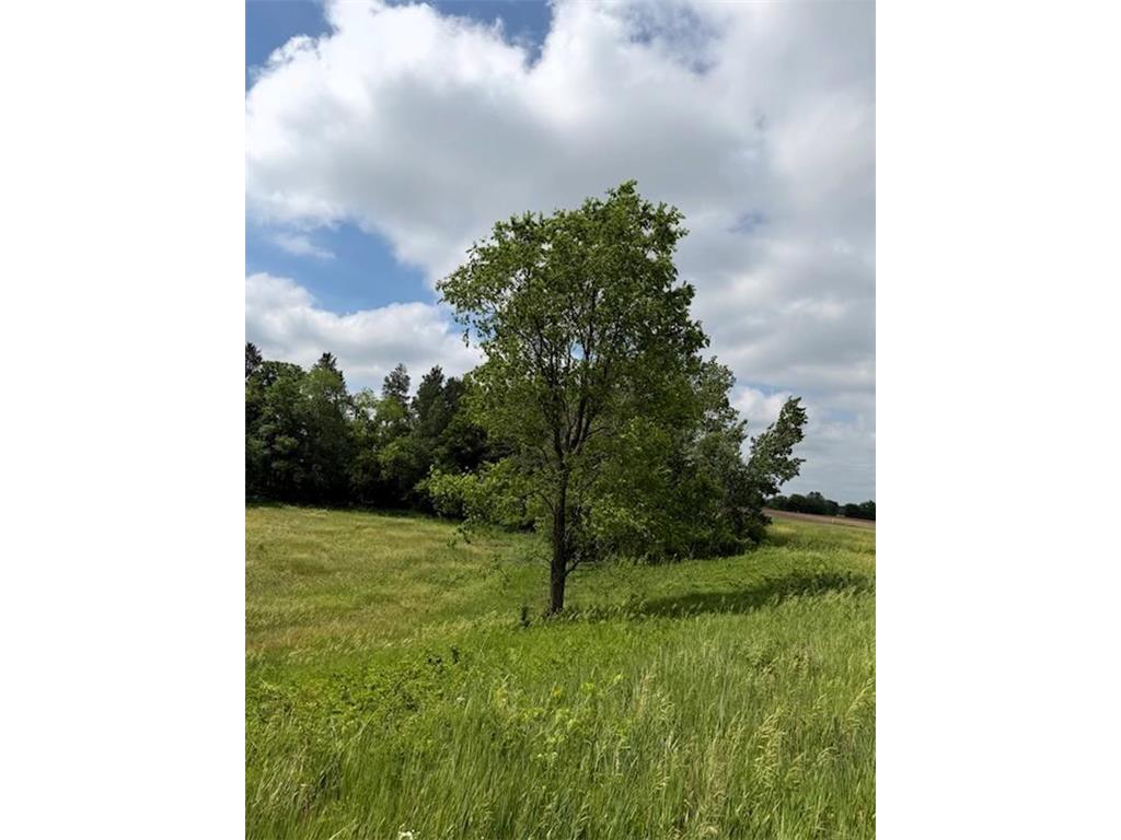 Lot 2 County Rd F Hay River Twp WI 54725 7085559 image7