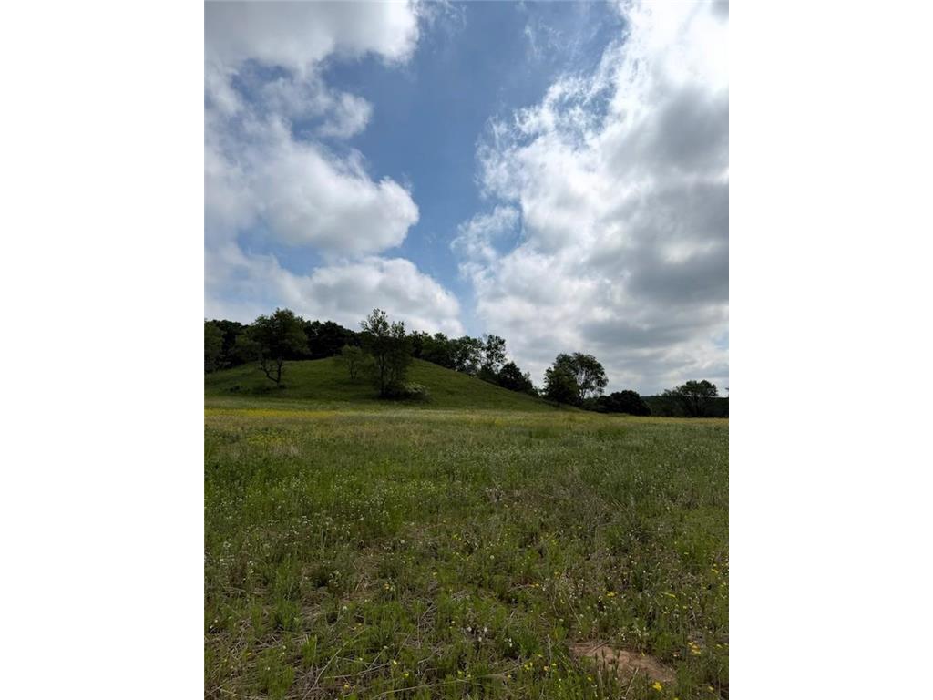 Lot 2 County Rd F Hay River Twp WI 54725 7085559 image8