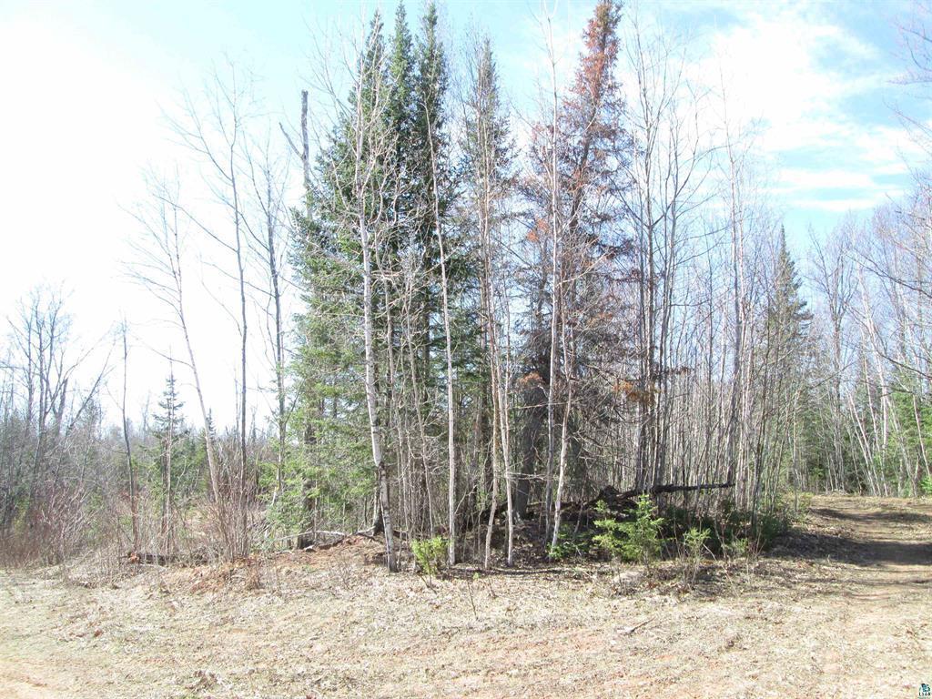 Lot 2 County Rd L South Range WI 54874 7033281 image12