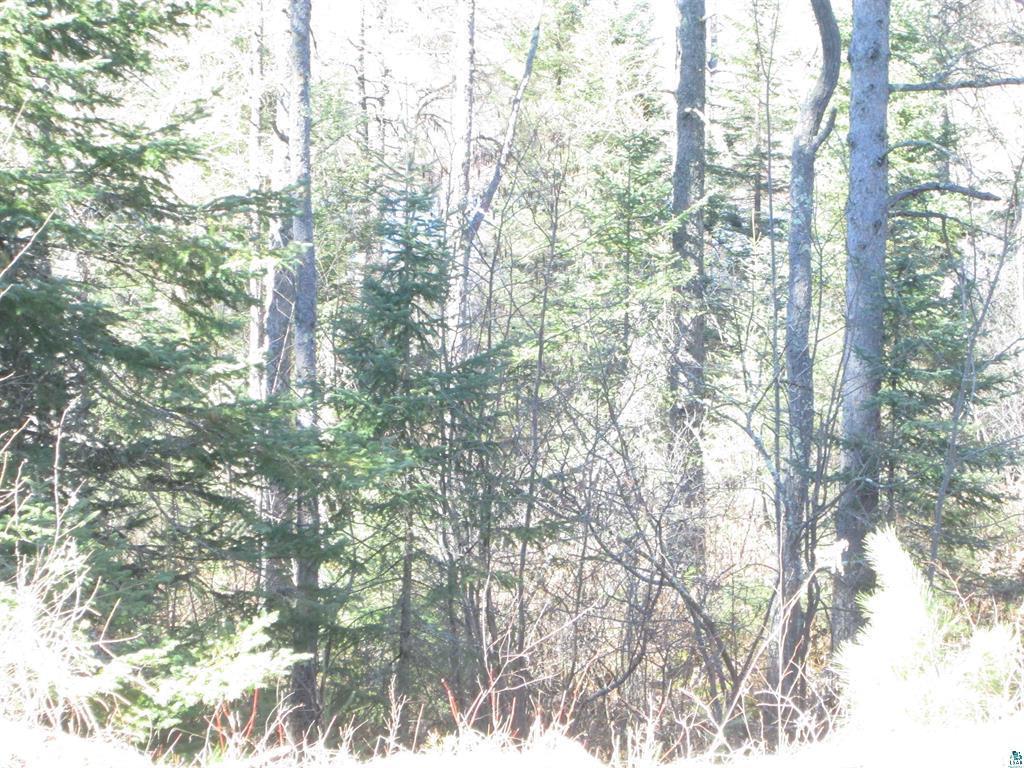 Lot 2 County Rd L South Range WI 54874 7033281 image23
