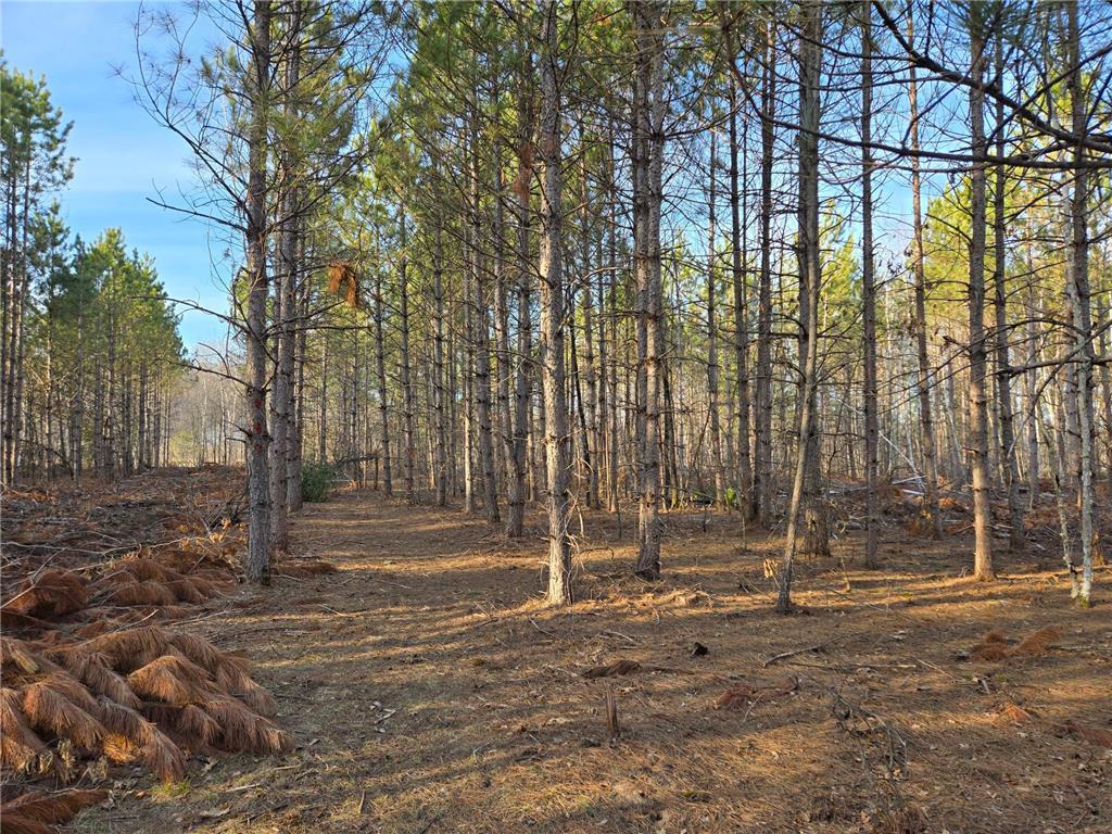 Lot 2 County Road S Wheeler WI 54772 6693551 image1