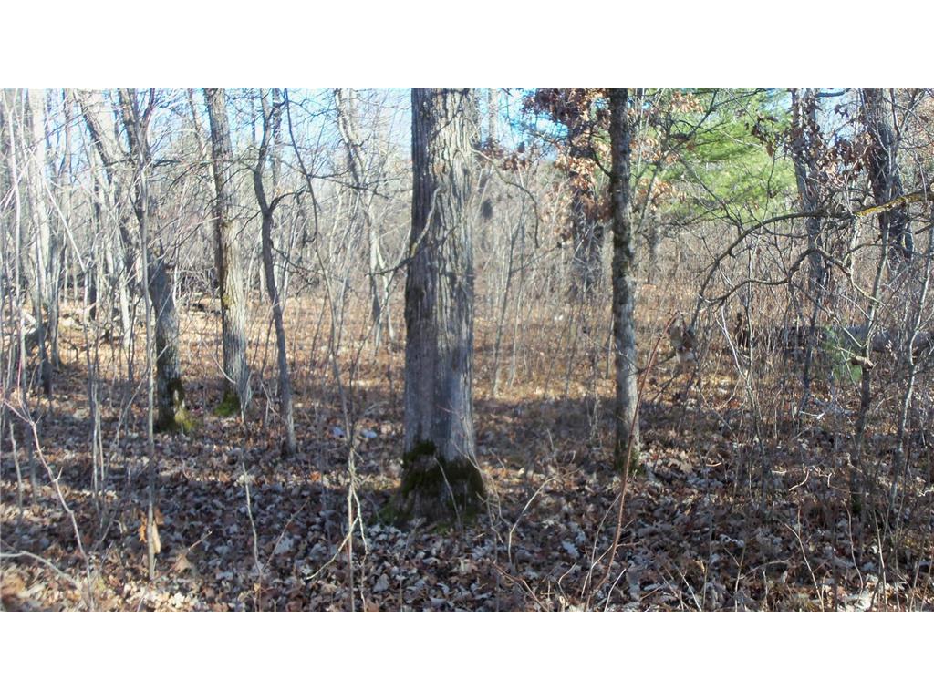 Lot 2 Ferry Rd Grantsburg Twp WI 54840 6821609 image3