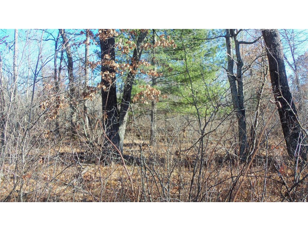 Lot 2 Ferry Rd Grantsburg Twp WI 54840 6821609 image4
