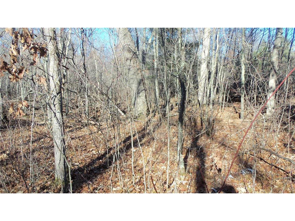 Lot 2 Ferry Rd Grantsburg Twp WI 54840 6821609 image5
