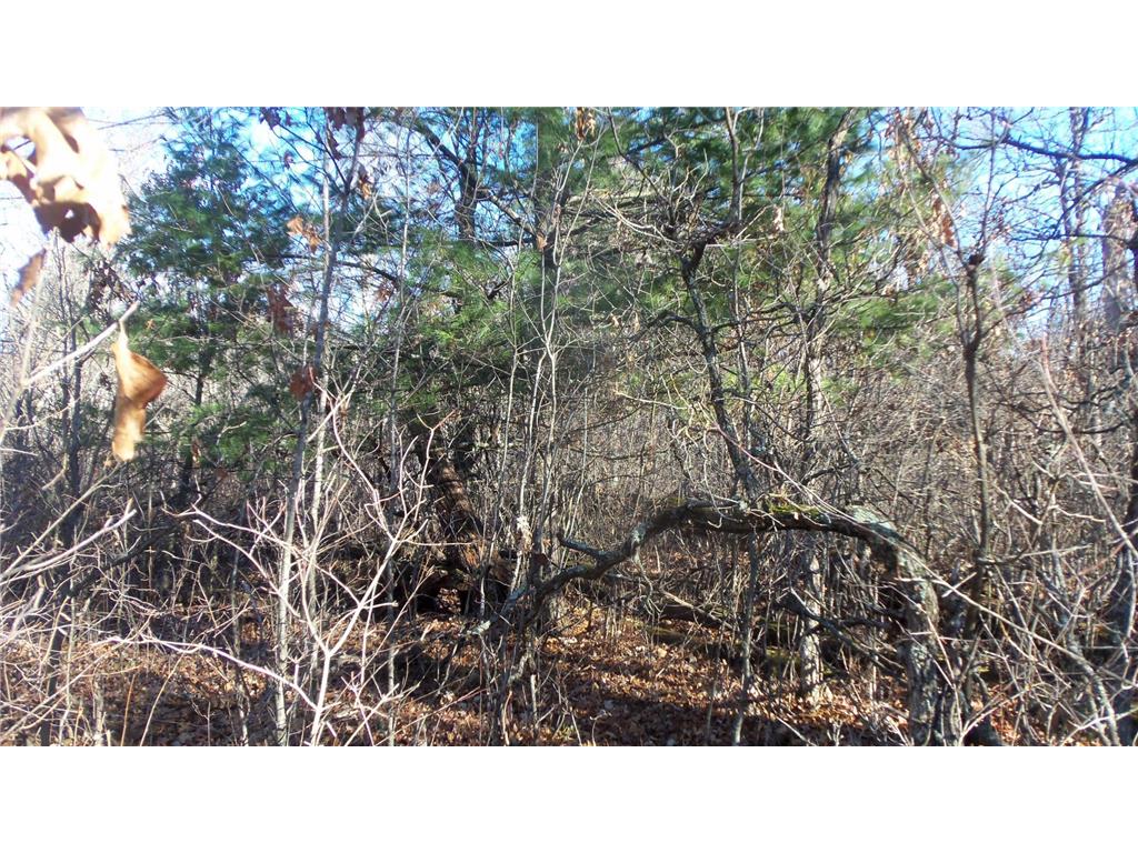 Lot 2 Ferry Rd Grantsburg Twp WI 54840 6821609 image6
