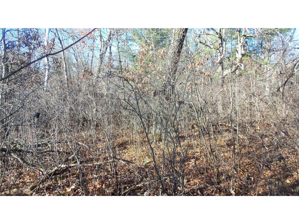 Lot 2 Ferry Rd Grantsburg Twp WI 54840 6821609 image7