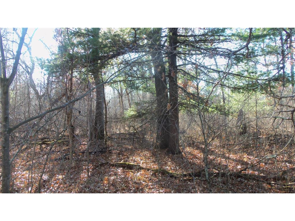 Lot 2 Ferry Rd Grantsburg Twp WI 54840 6821609 image8