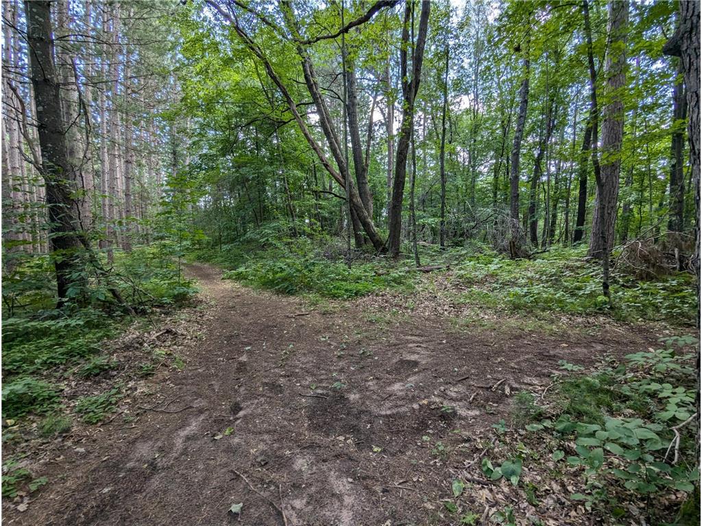 Lot 2 Fosmo Webster WI 54893 - Big Sand Lake 7041569 image1