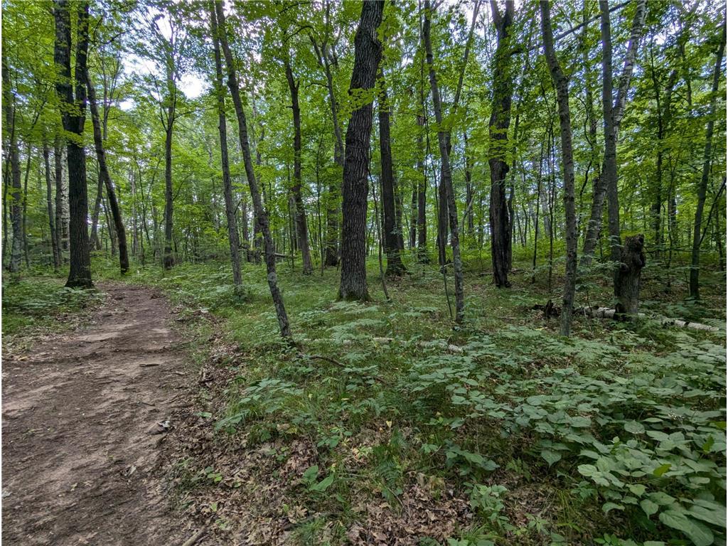 Lot 2 Fosmo Webster WI 54893 - Big Sand Lake 7041569 image6