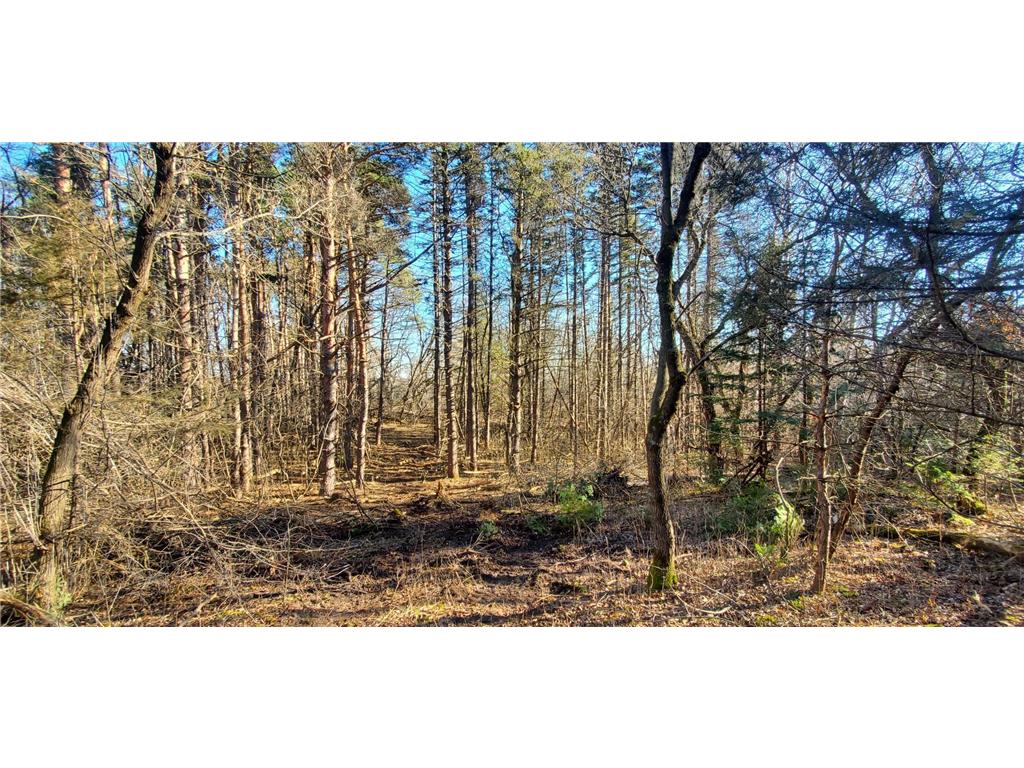 Lot 2 Fox Ridge Trail Saint Joseph Twp WI 54082 6487430 image1