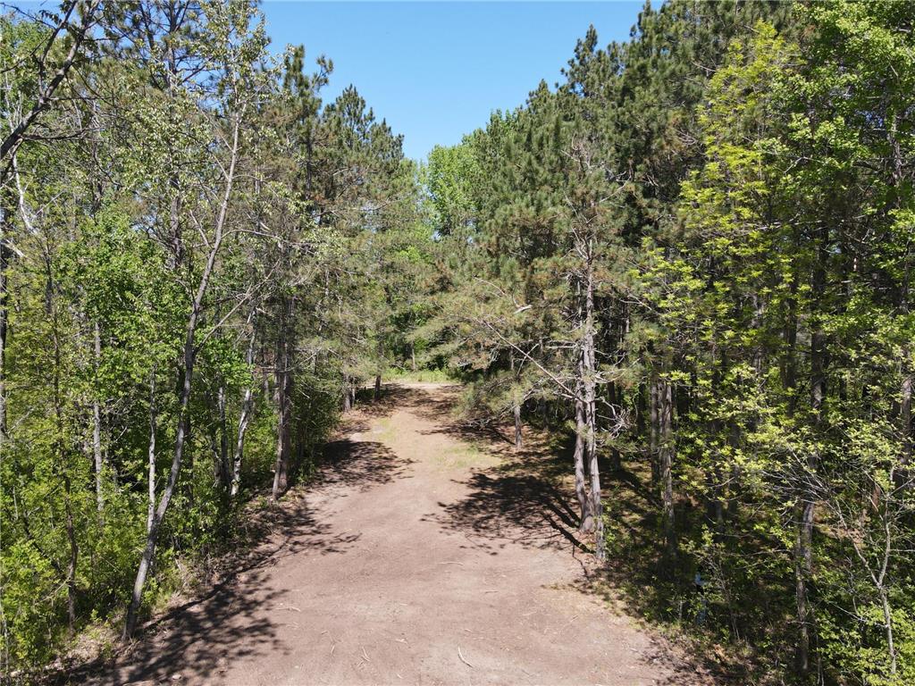 Lot 2 Hason Lake Road Lawrence Twp MN 55744 - Inkey 6729156 image14