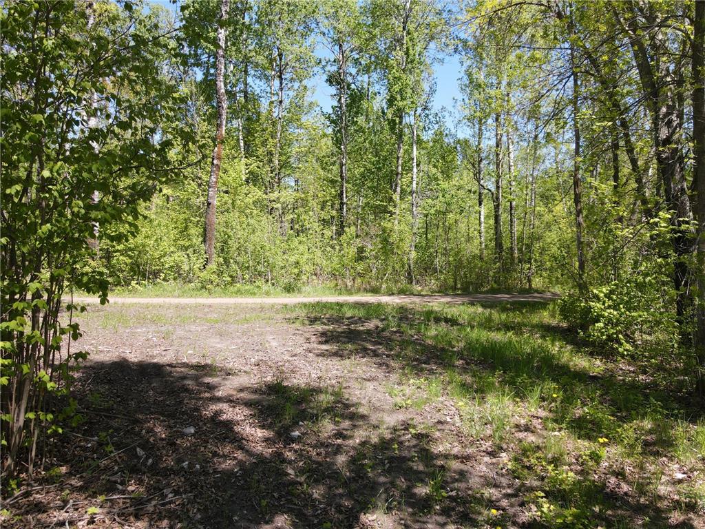 Lot 2 Hason Lake Road Lawrence Twp MN 55744 - Inkey 6729156 image17