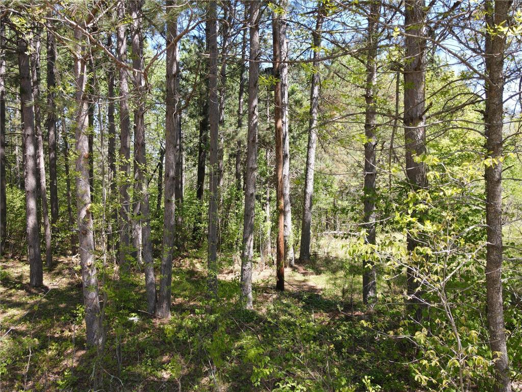 Lot 2 Hason Lake Road Lawrence Twp MN 55744 - Inkey 6729156 image19