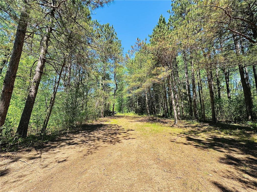 Lot 2 Hason Lake Road Lawrence Twp MN 55744 - Inkey 6729156 image21