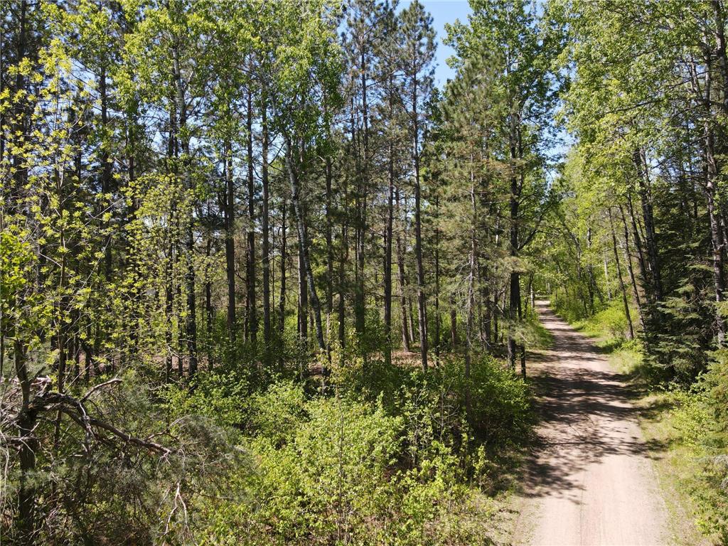 Lot 2 Hason Lake Road Lawrence Twp MN 55744 - Inkey 6729156 image25