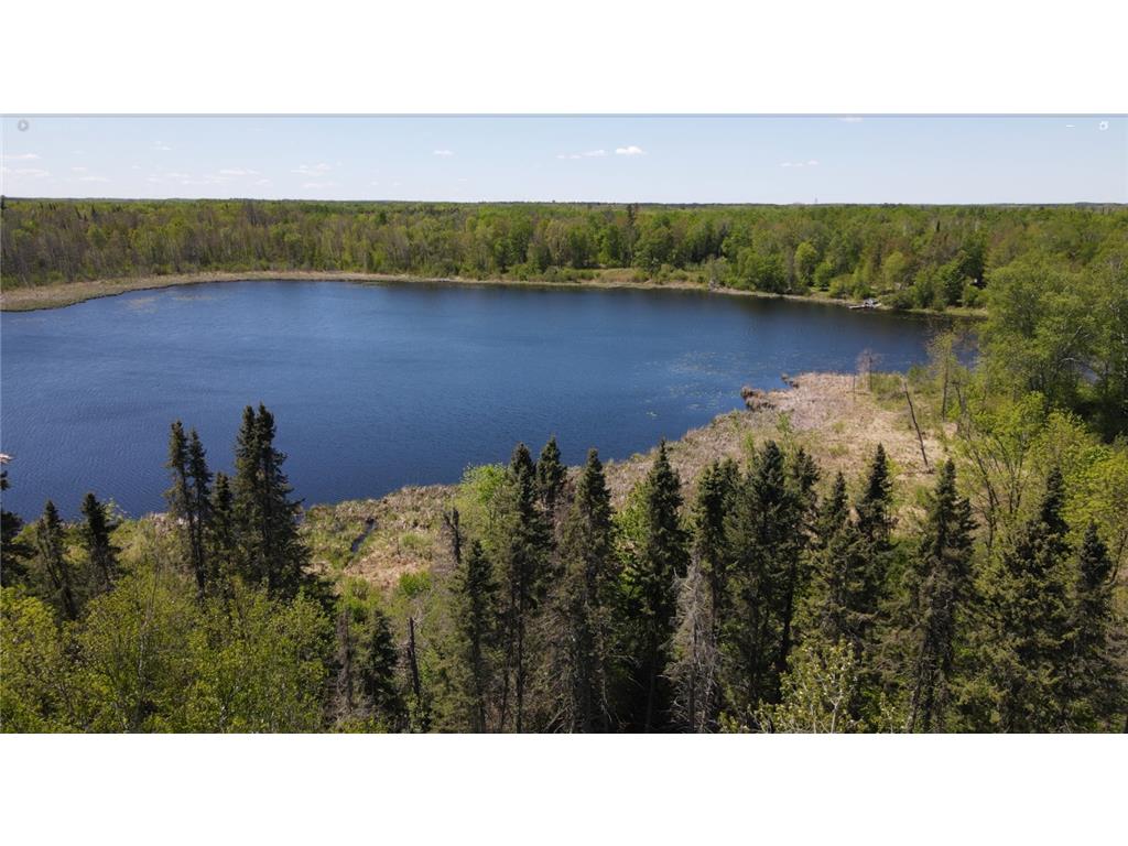 Lot 2 Hason Lake Road Lawrence Twp MN 55744 - Inkey 6729156 image7