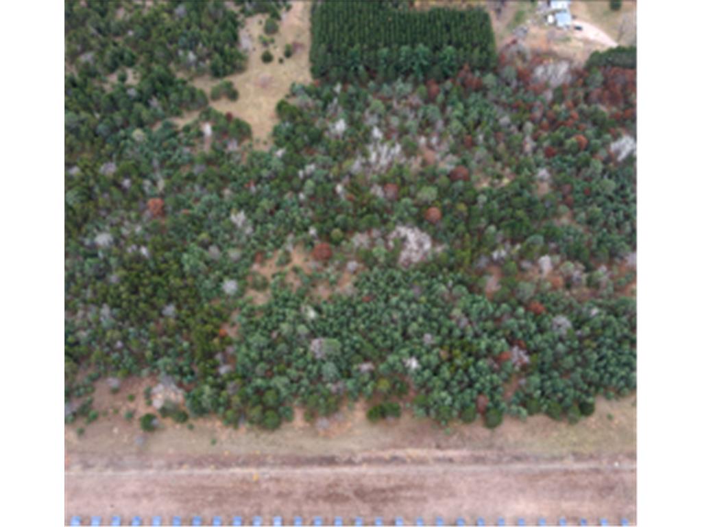 Lot 2 Kable Avenue North Branch MN 55056 7032117 image4