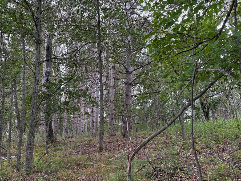 Lot 2 Lever Street NE Isanti MN 55040 6692760 image1