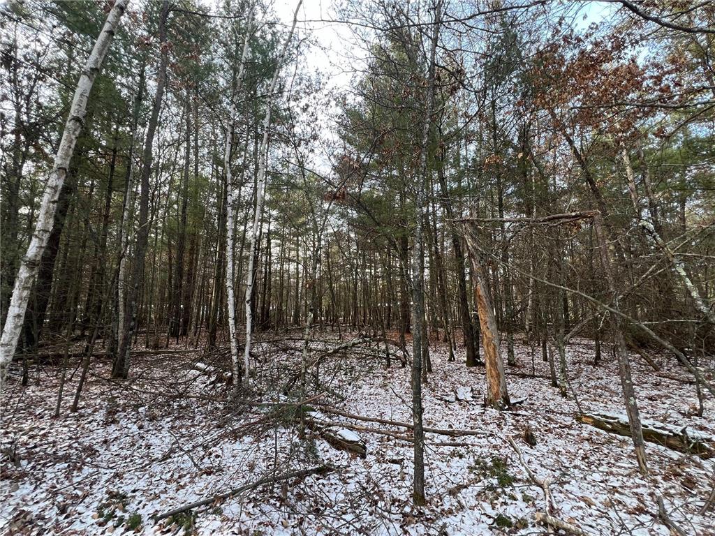 Lot 2 Linden Street Grantsburg WI 54840 6463837 image1