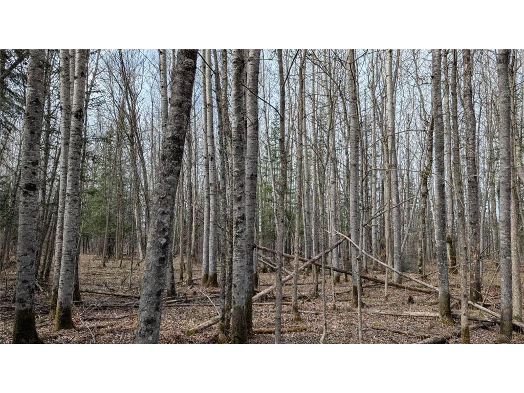 Lot 2 Lund Road Cook MN 55723 7072229 image8