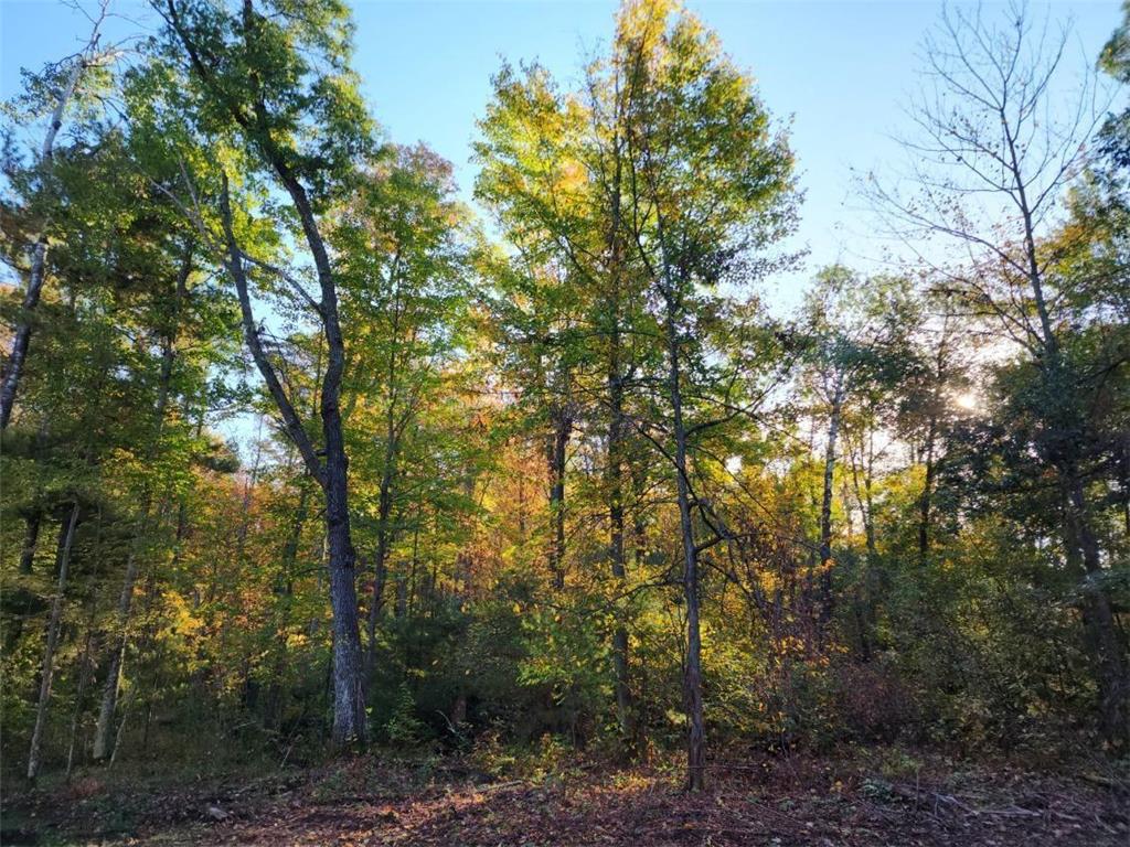 Lot 2 Maria's Way Webster WI 54893 6438143 image1