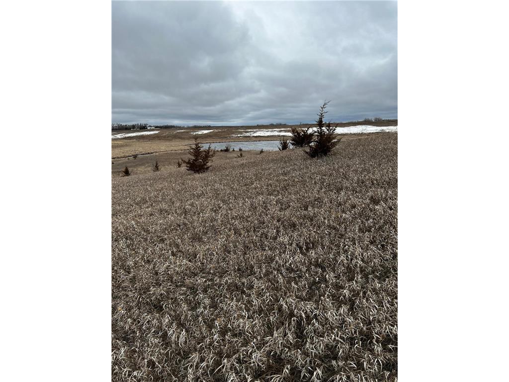 Lot #2 Natures Bay Estates RD Lien Twp MN 56311 - Barrett 6359130 image1