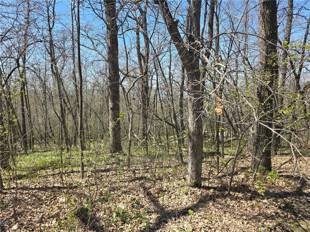 Lot 2 Oak Turn Again Court Glenwood MN 56334 - Minnewaska 6712564 image11
