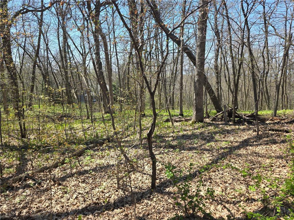 Lot 2 Oak Turn Again Court Glenwood MN 56334 - Minnewaska 6712564 image12