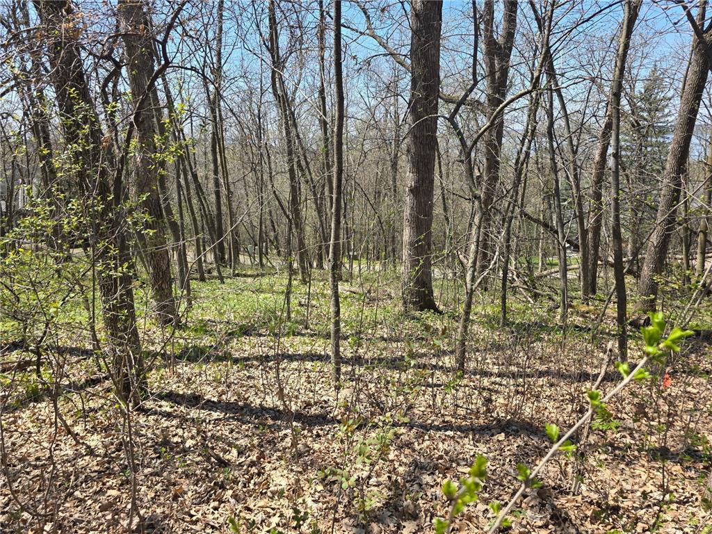 Lot 2 Oak Turn Again Court Glenwood MN 56334 - Minnewaska 6712564 image13