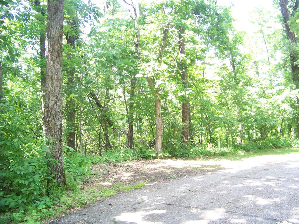 Lot 2 Oak Turn Again Court Glenwood MN 56334 - Minnewaska 6712564 image5