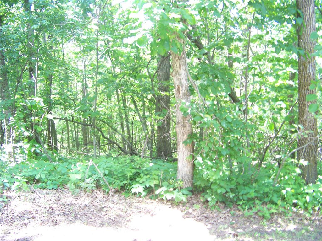 Lot 2 Oak Turn Again Court Glenwood MN 56334 - Minnewaska 6712564 image6