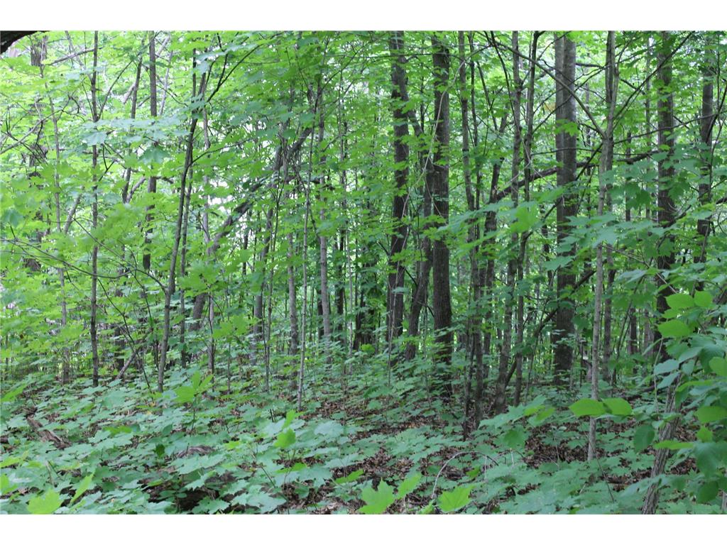 Lot 2 Old Glory Drive NE Alexandria MN 56308 6417432 image1
