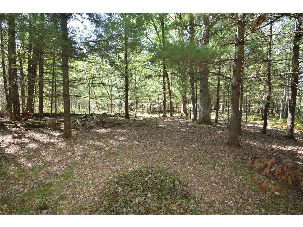 Lot #2 Olsen Road Webster WI 54893 6636720 image1