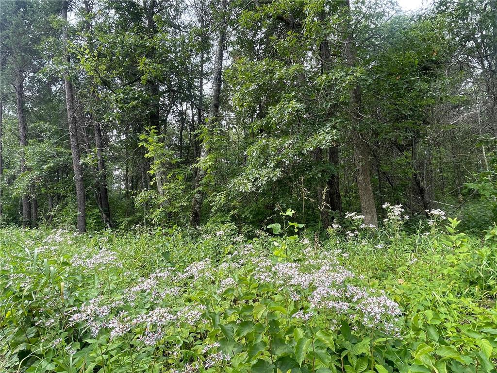 Lot 2 Patriot Ave Pequot Lakes MN 56472 6695267 image11