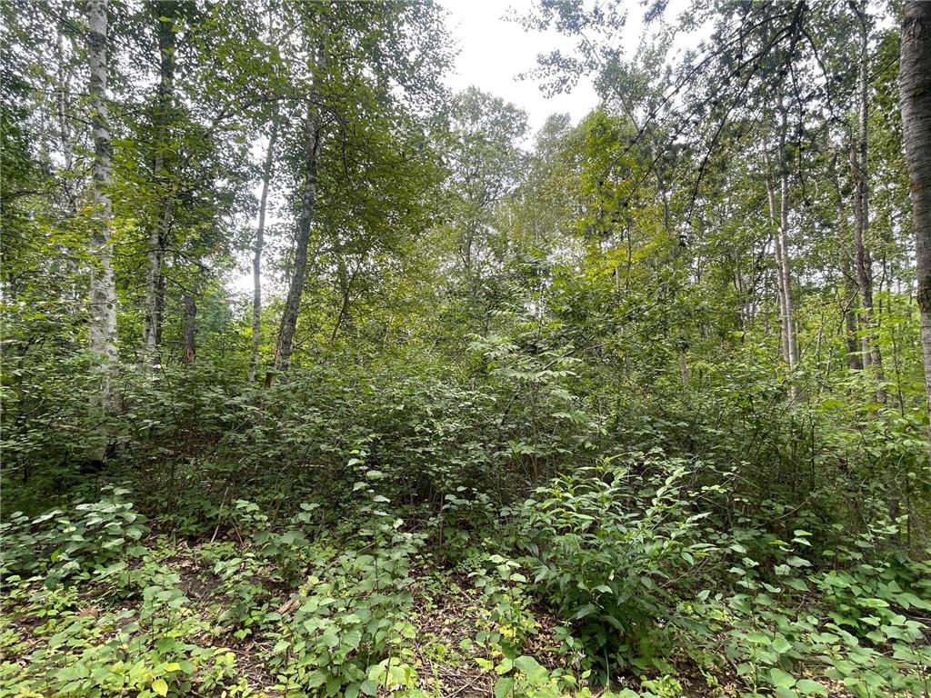 Lot 2 Patriot Ave Pequot Lakes MN 56472 6695267 image2
