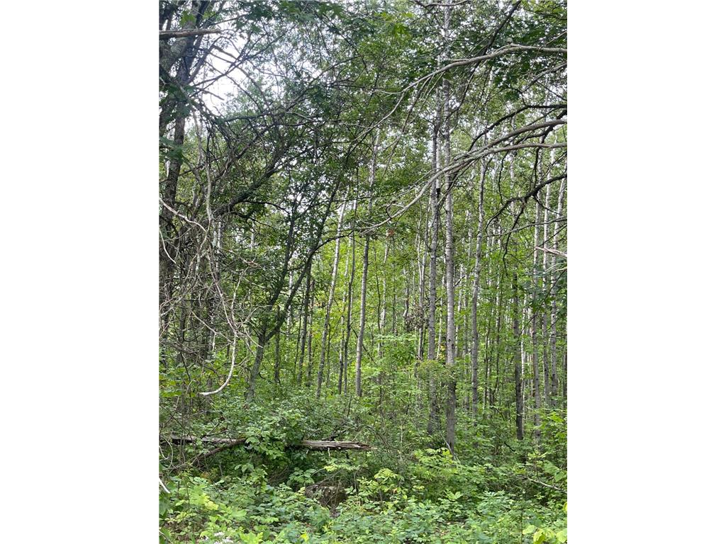 Lot 2 Patriot Ave Pequot Lakes MN 56472 6695267 image3