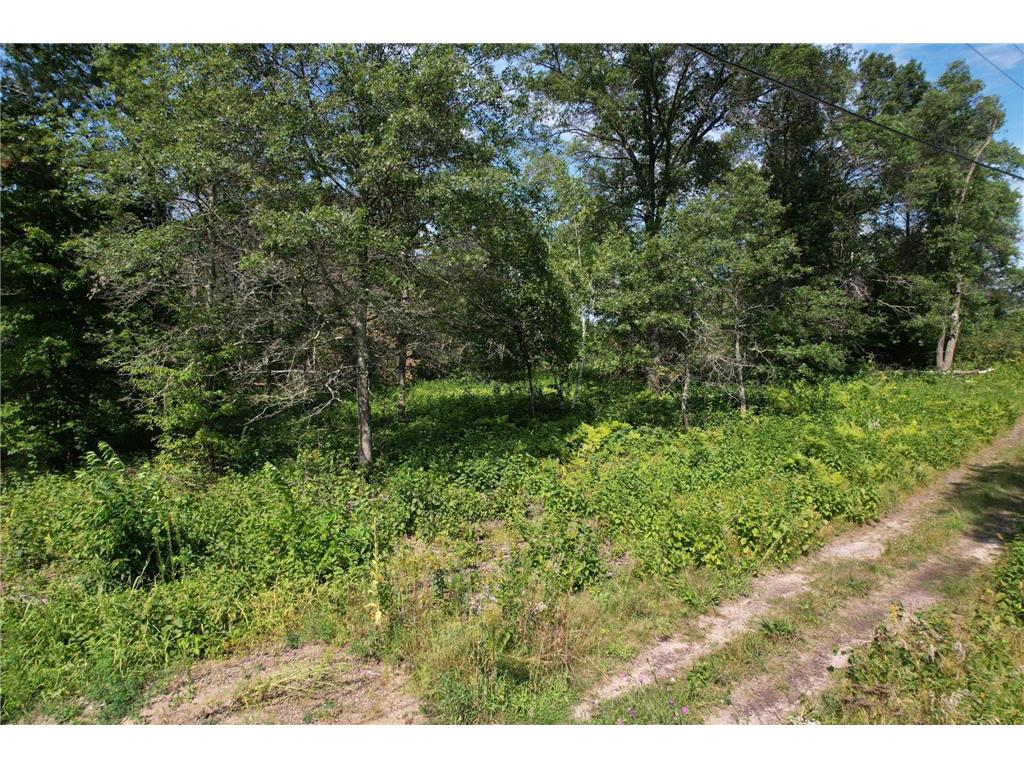 Lot 2 Patriot Ave Pequot Lakes MN 56472 6695267 image30