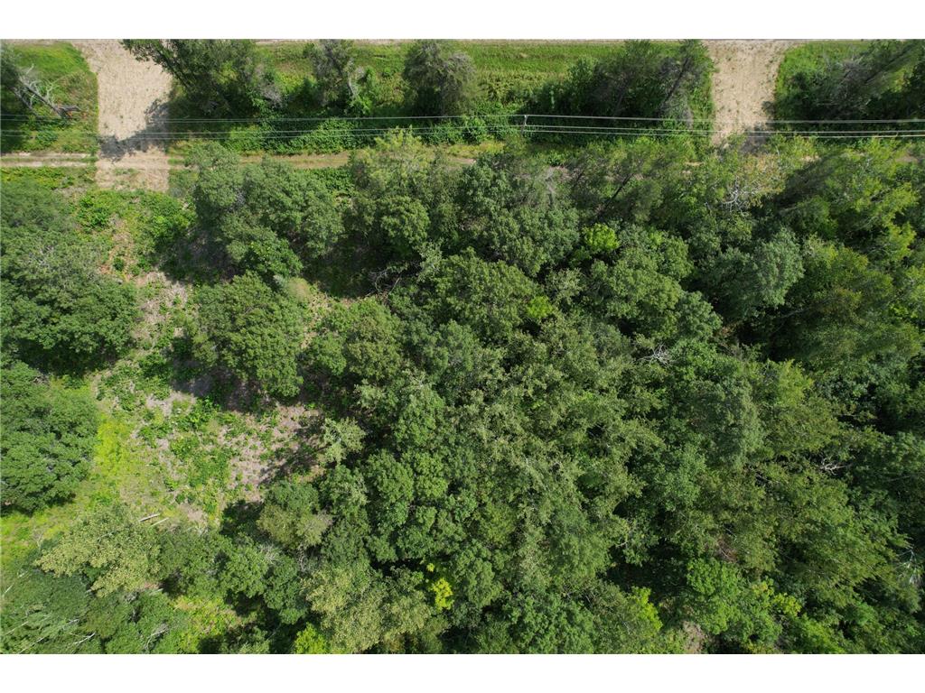 Lot 2 Patriot Ave Pequot Lakes MN 56472 6695267 image39