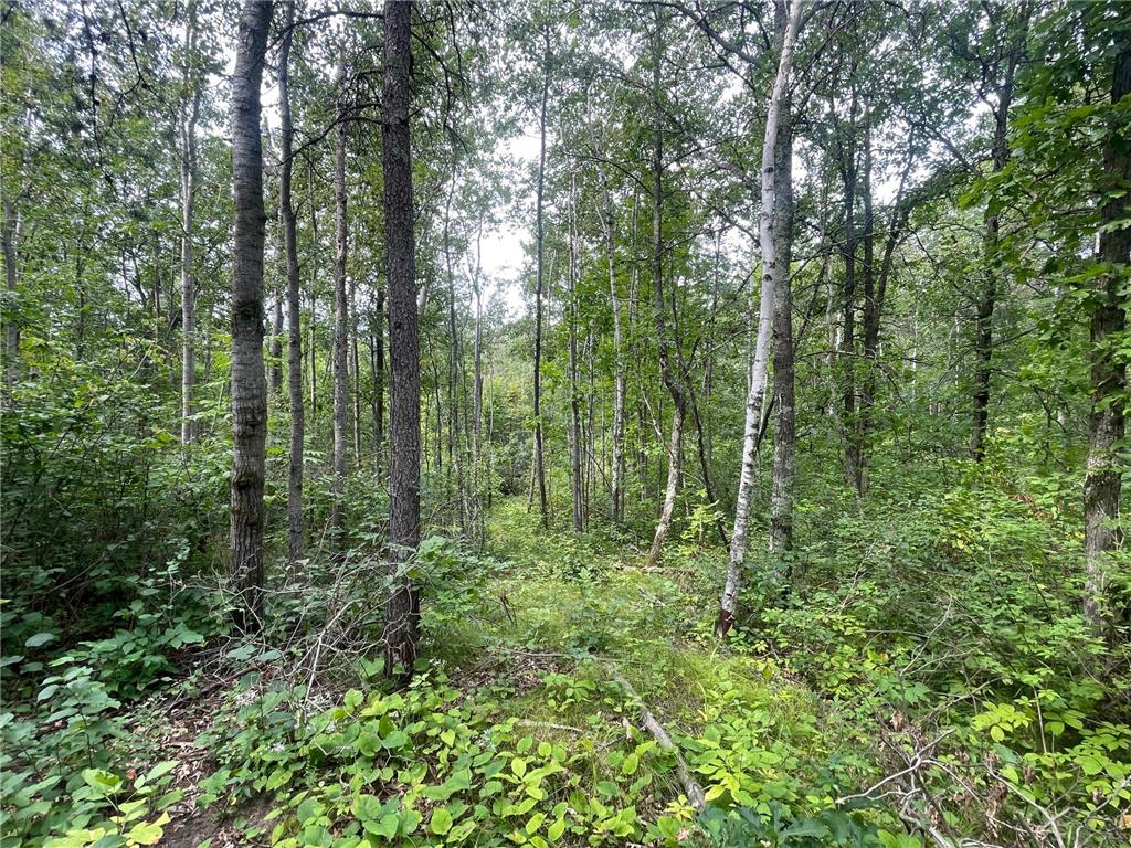Lot 2 Patriot Ave Pequot Lakes MN 56472 6695267 image4