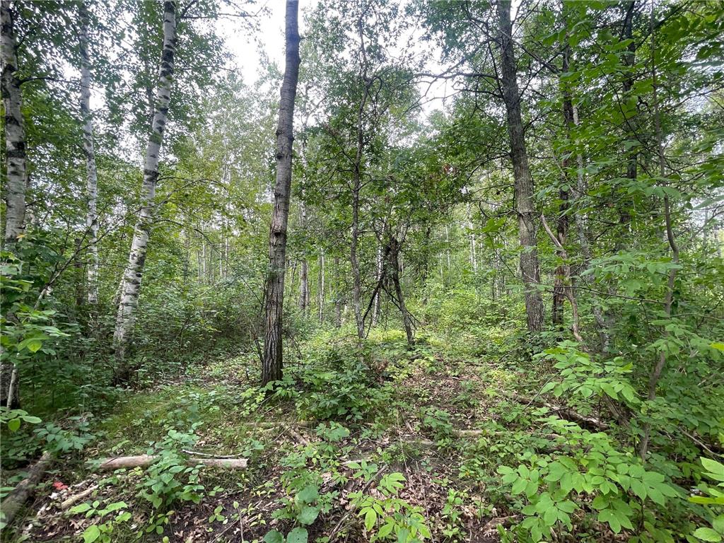 Lot 2 Patriot Ave Pequot Lakes MN 56472 6695267 image5