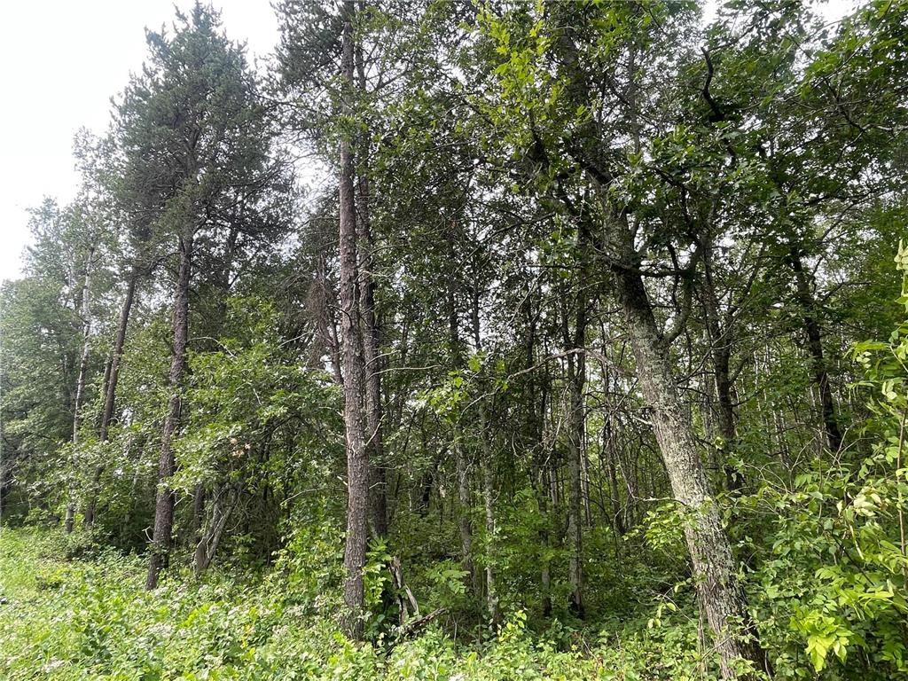 Lot 2 Patriot Ave Pequot Lakes MN 56472 6695267 image6