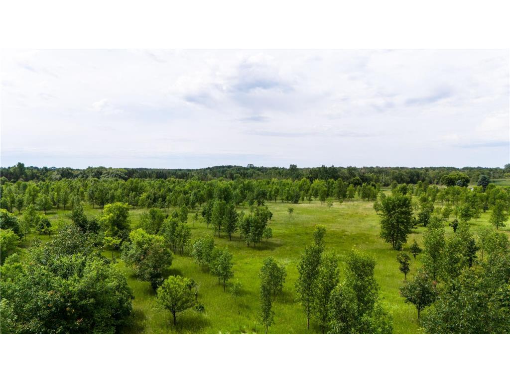 Lot 2 Rutten Lane NE Belle River Twp MN 56319 - Long Prairie River 6750293 image15