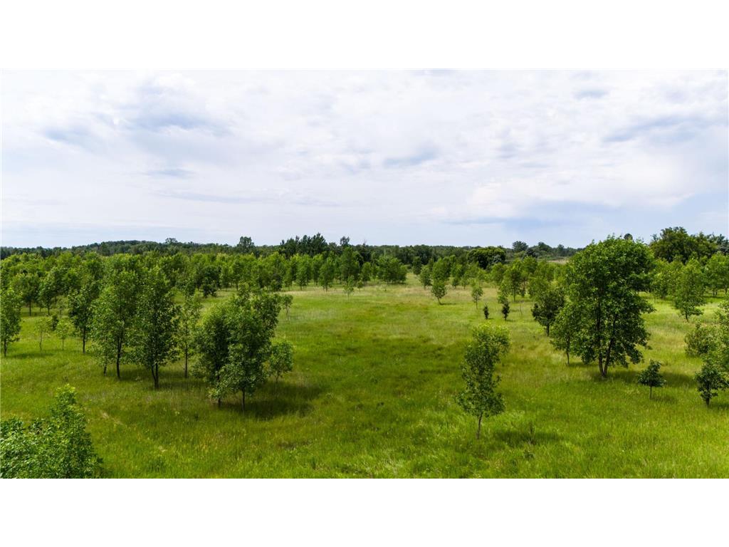 Lot 2 Rutten Lane NE Belle River Twp MN 56319 - Long Prairie River 6750293 image16
