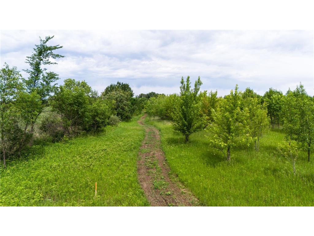 Lot 2 Rutten Lane NE Belle River Twp MN 56319 - Long Prairie River 6750293 image8