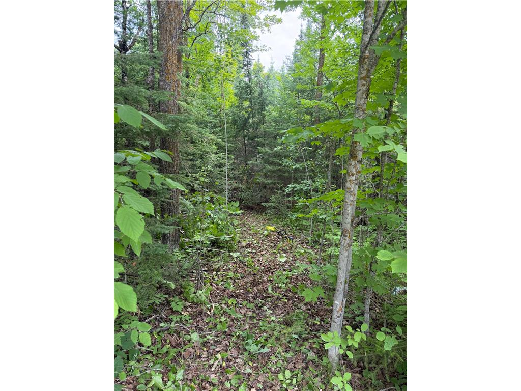 Lot 2 S Gull Lake Rd SW Port Hope Twp MN 56647 - Gull Lake 7101554 image1
