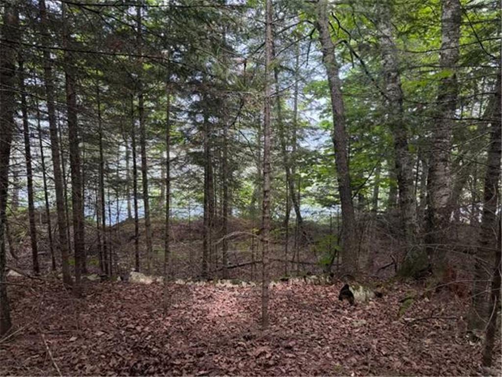 Lot 2 S Gull Lake Rd SW Port Hope Twp MN 56647 - Gull Lake 7101554 image10
