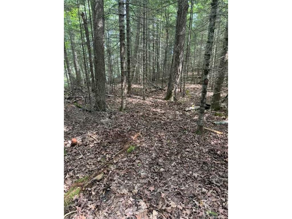 Lot 2 S Gull Lake Rd SW Port Hope Twp MN 56647 - Gull Lake 7101554 image11