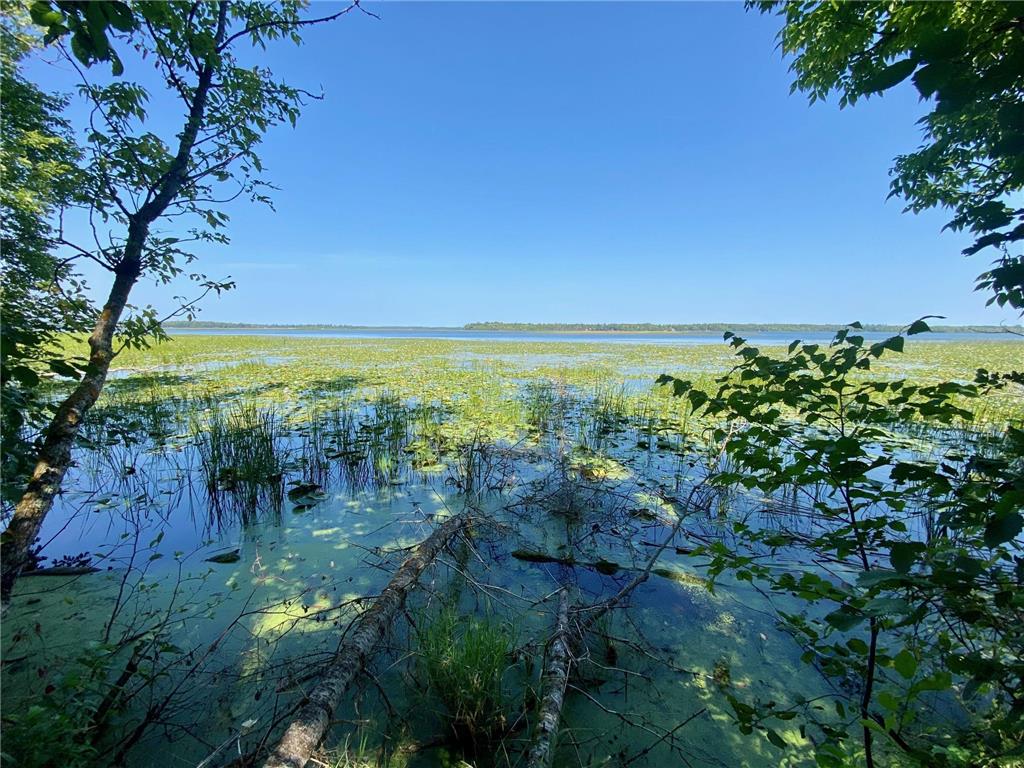 Lot 2 S Gull Lake Rd SW Port Hope Twp MN 56647 - Gull Lake 7101554 image2