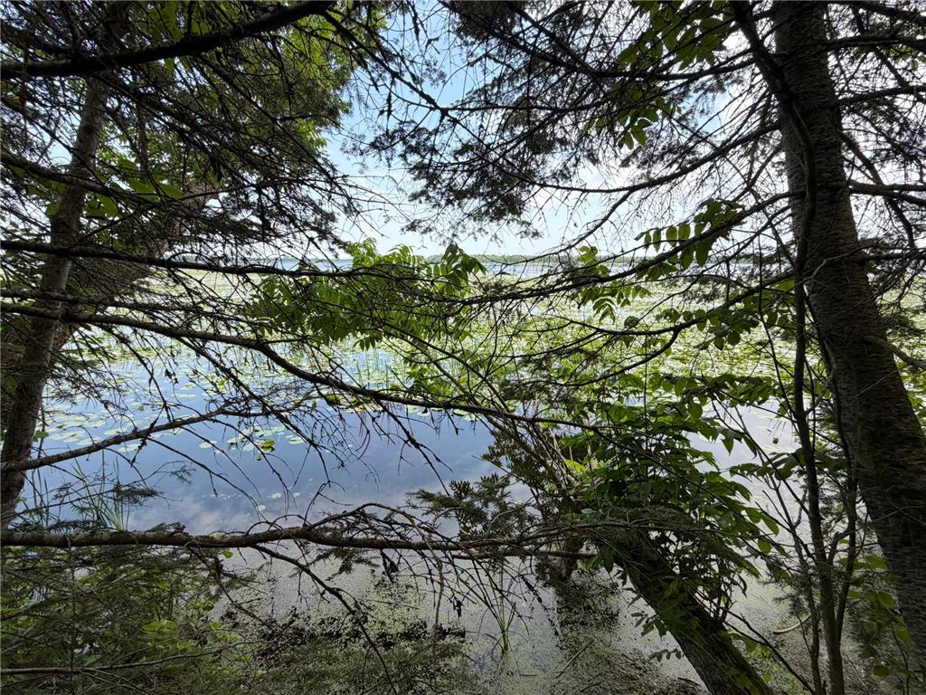 Lot 2 S Gull Lake Rd SW Port Hope Twp MN 56647 - Gull Lake 7101554 image3